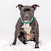 Thumbnail photo of Princess Mya #1