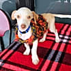 Thumbnail photo of Tito Chiquito #1