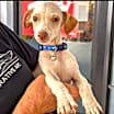 Thumbnail photo of Tito Chiquito #2