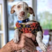 Thumbnail photo of Tito Chiquito #4