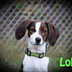 Thumbnail photo of Lola #1