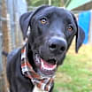 Thumbnail photo of Kaiden #1