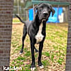 Thumbnail photo of Kaiden #2