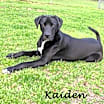 Thumbnail photo of Kaiden #3
