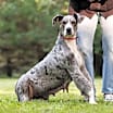 Thumbnail photo of Nala #2
