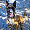 Thumbnail photo of DEVI #2