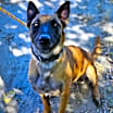 Thumbnail photo of DEVI #4
