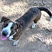 Thumbnail photo of MAX #1