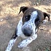 Thumbnail photo of MAX #2