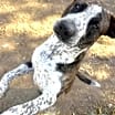 Thumbnail photo of MAX #3