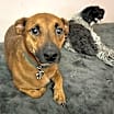 Thumbnail photo of Max #2