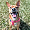 Thumbnail photo of Lucy #1