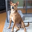 Thumbnail photo of Lucy #3