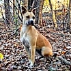 Thumbnail photo of Agatha (Aggie) #1