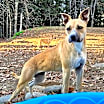 Thumbnail photo of Agatha (Aggie) #2