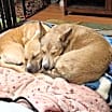Thumbnail photo of Agatha (Aggie) #3