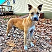 Thumbnail photo of Agatha (Aggie) #4