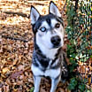 Thumbnail photo of Ghost #1