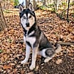 Thumbnail photo of Ghost #2