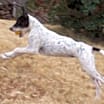 Thumbnail photo of Kelly #2