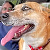 Thumbnail photo of Lindy #1