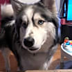 Thumbnail photo of Bane and Shadow #3