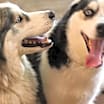 Thumbnail photo of Bane and Shadow #4