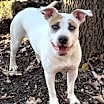 Thumbnail photo of Amy #1