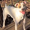 Thumbnail photo of Amy #2
