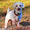 Thumbnail photo of Charlie #2