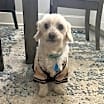 Thumbnail photo of Charlie #3