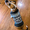 Thumbnail photo of Buster #4