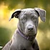 Thumbnail photo of Madison - F #1