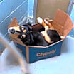 Thumbnail photo of Frappe #2
