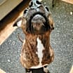 Thumbnail photo of Ripley #4