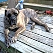 Thumbnail photo of Grover #1