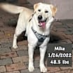 Thumbnail photo of Mike #3