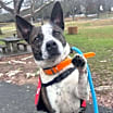 Thumbnail photo of Derby #1