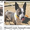 Thumbnail photo of Derby #2