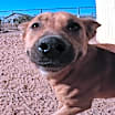 Thumbnail photo of Alexi #1