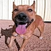 Thumbnail photo of Alexi #3