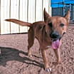 Thumbnail photo of Alexi #4