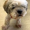 Thumbnail photo of Timmy - NDMR TN #3