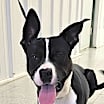 Thumbnail photo of Leroy #1