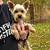 Thumbnail photo of JACK #1