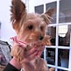 Thumbnail photo of JACK #2