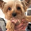 Thumbnail photo of JACK #3