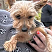 Thumbnail photo of GEORGE #1