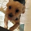 Thumbnail photo of GEORGE #2