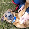 Thumbnail photo of Compass #1